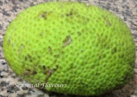 Kadachakka Breadfruit