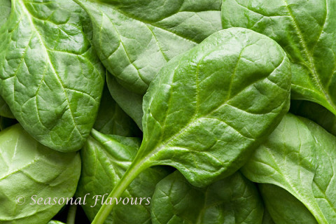 Spinach leaves for making pakoras with palak