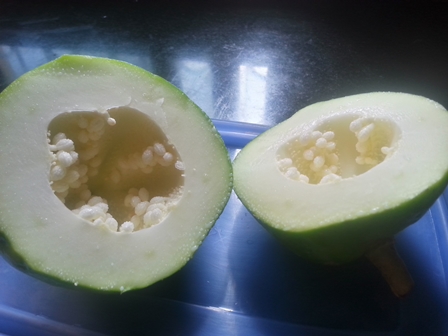 raw green papaya