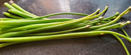 peyajkoli onion stalks for peyaj koli bhaja recipe
