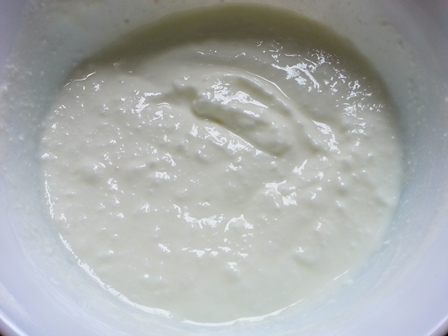 fresh yogurt and salt for Daddojanam