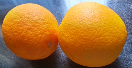 oranges for easy kheer recipe