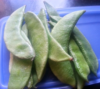 Hyacinth Beans for shorshe baata diye shim recipe