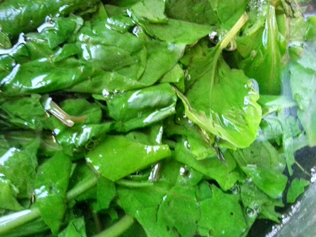 blanch palak for dip recipe