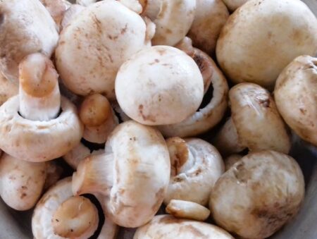 Rinse the mushrooms