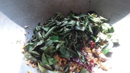 Add curry leaves for karvepaku powder