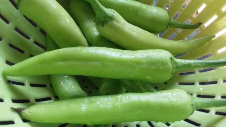 Green chillies for Milagai Bajj