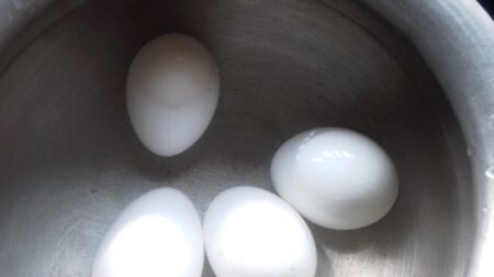 Boil eggs
