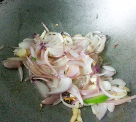 Saute onions and spring onions