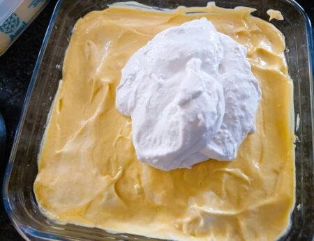 Whipped cream spread for creamy mango delight