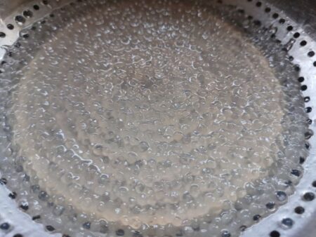 Cooked Sago Pearls