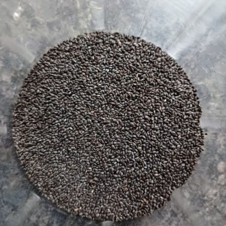 Basil seeds for traditional Faluda 