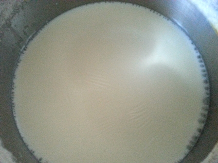 Boil milk for homemade dessert