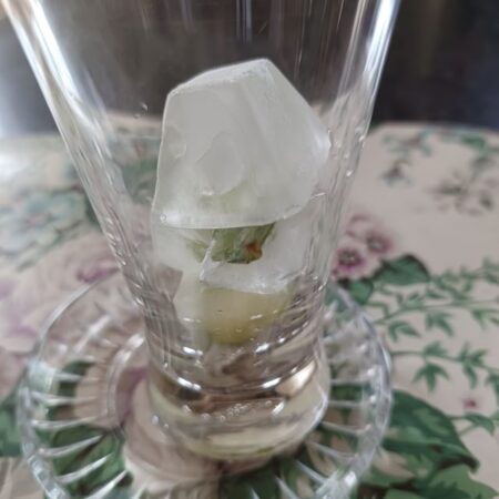 Ice cubes for summer drink