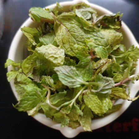Pudina leaves for cooling drink for summer