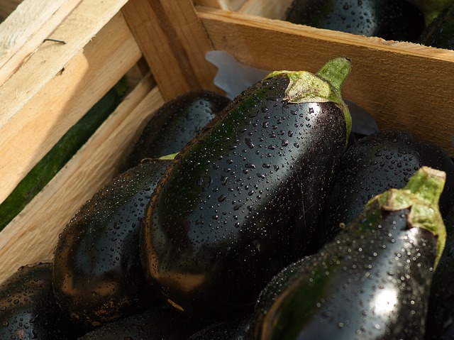 15 Amazing Health Benefits Of Eggplant You May Not Have Heard About