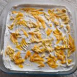 Mango Delight Recipe