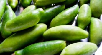 Ivy Gourd Health Benefits | 12 Reasons To Eat Tindora